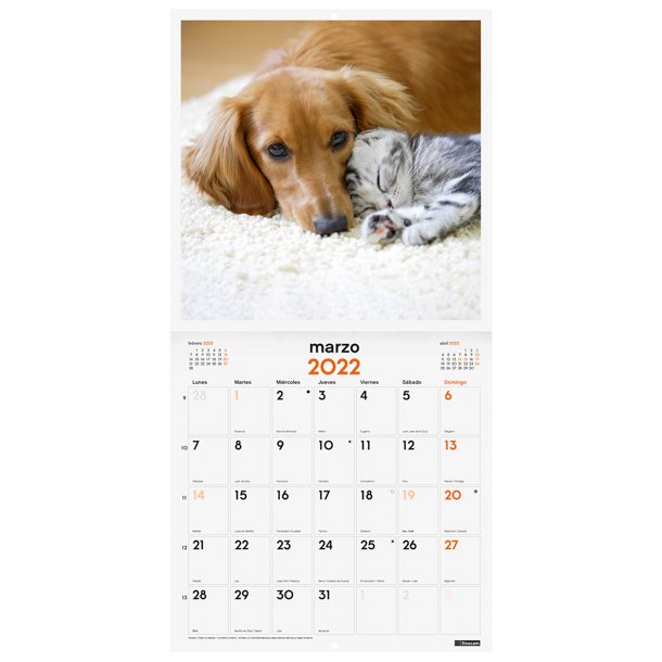 CALENDARIO IMÁGENES DE PARED 30X30 PARA ESCRIBIR 2022 PERROS Y GATOS