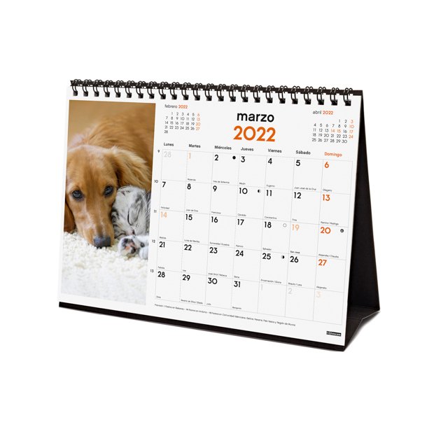CALENDARIO IMÁGENES DE SOBREMESA PARA ESCRIBIR 2022 PERROS Y GATOS
