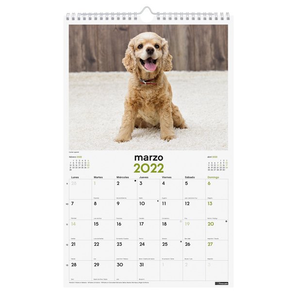 CALENDARIO IMÁGENES DE PARED ESPIRAL PARA ESCRIBIR 2022 CACHORROS