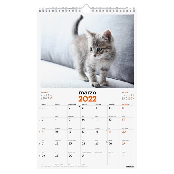 CALENDARIO IMÁGENES DE PARED ESPIRAL PARA ESCRIBIR 2022 GATITOS