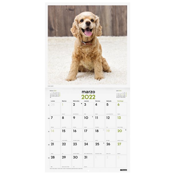 CALENDARIO IMÁGENES DE PARED 30X30 PARA ESCRIBIR 2022 CACHORROS