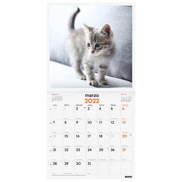 CALENDARIO IMÁGENES DE PARED 30X30 PARA ESCRIBIR 2022 GATITOS